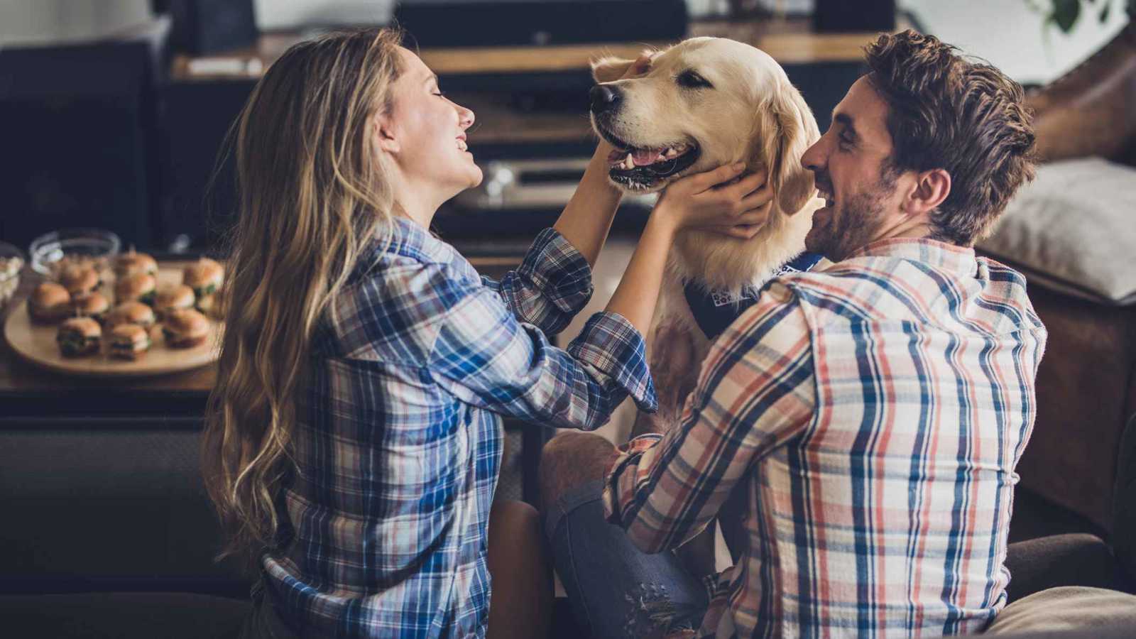 بريطانيا : تزايد ظاهرة تفضيل اقتناء الكلاب على الإنجاب 